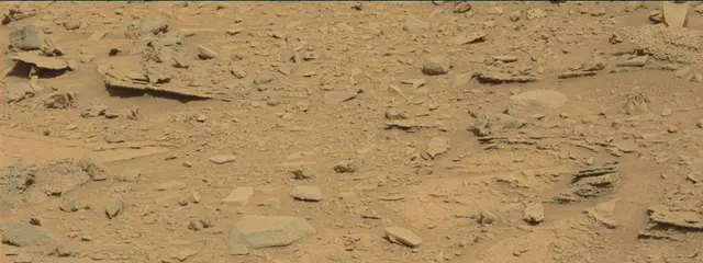 Sol 315: Mast Camera (Mastcam)