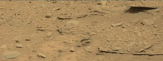Sol 315: Mast Camera (Mastcam)