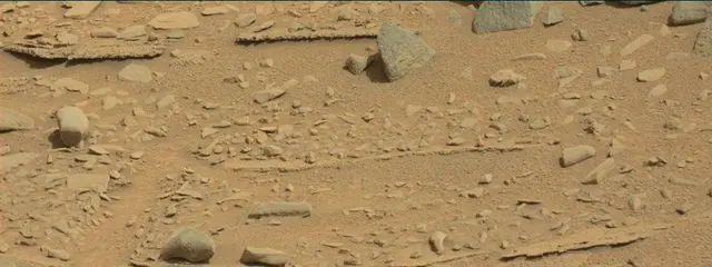 Sol 315: Mast Camera (Mastcam)