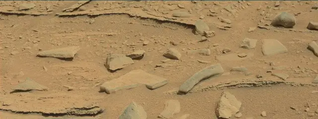 Sol 315: Mast Camera (Mastcam)
