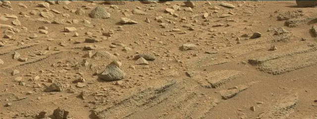 Sol 315: Mast Camera (Mastcam)