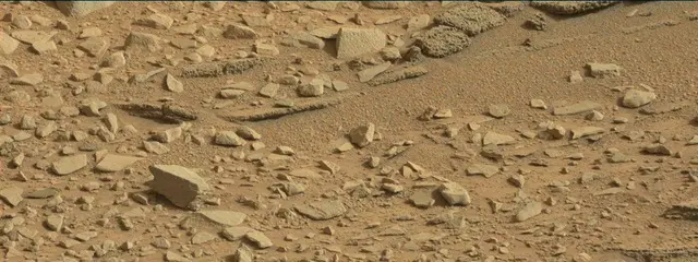 Sol 315: Mast Camera (Mastcam)