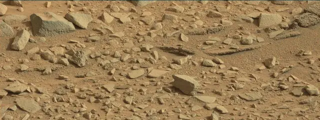 Sol 315: Mast Camera (Mastcam)