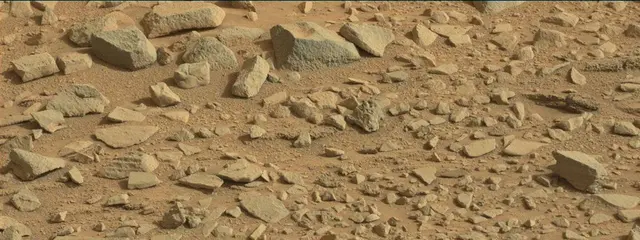 Sol 315: Mast Camera (Mastcam)