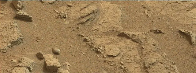 Sol 315: Mast Camera (Mastcam)