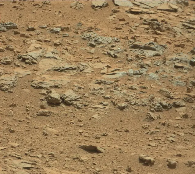 Sol 315: Mast Camera (Mastcam)