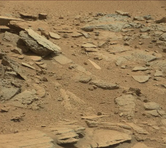 Sol 315: Mast Camera (Mastcam)
