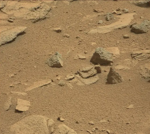 Sol 315: Mast Camera (Mastcam)