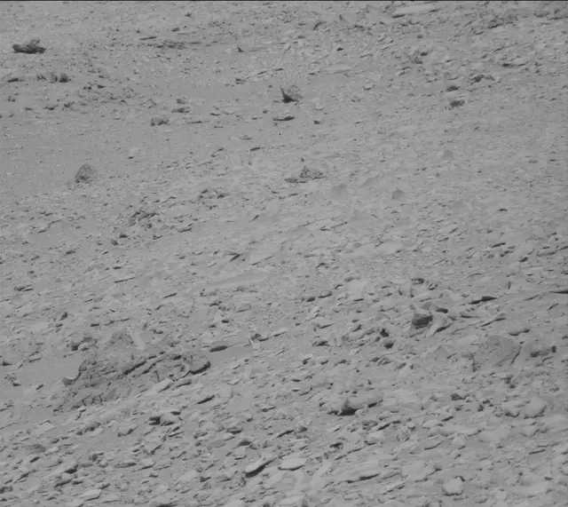 Sol 315: Mast Camera (Mastcam)