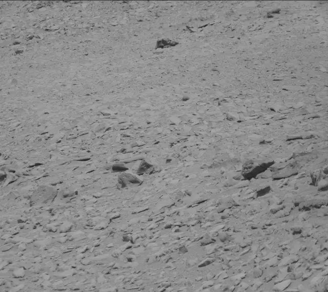Sol 315: Mast Camera (Mastcam)