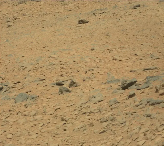 Sol 315: Mast Camera (Mastcam)