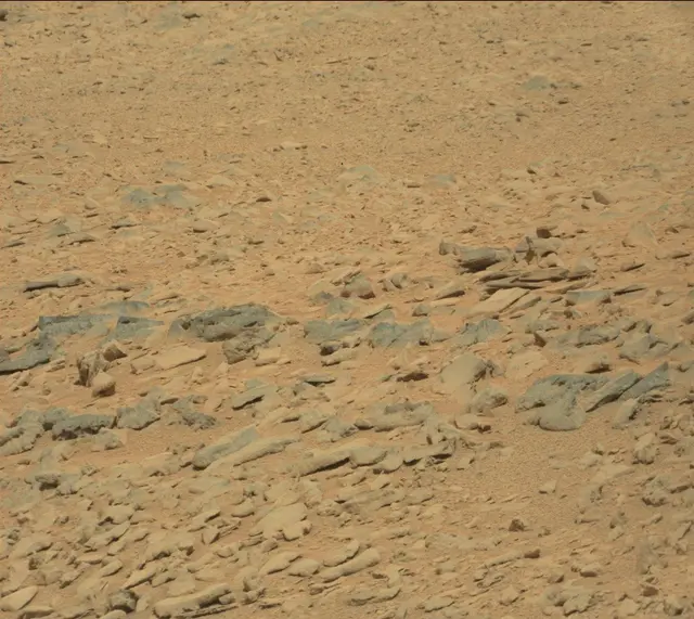 Sol 315: Mast Camera (Mastcam)