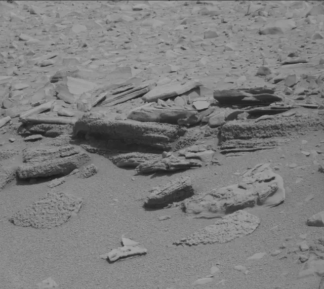 Sol 315: Mast Camera (Mastcam)