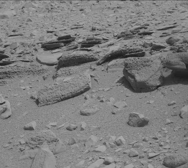 Sol 315: Mast Camera (Mastcam)