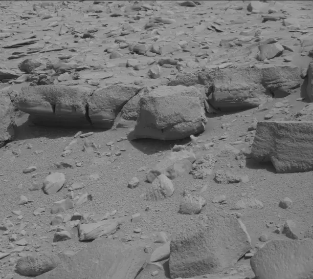 Sol 315: Mast Camera (Mastcam)