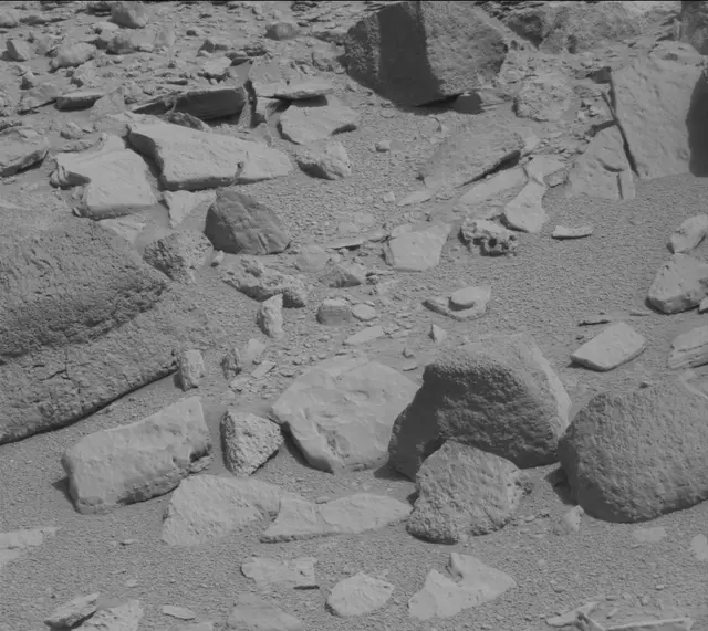 Sol 315: Mast Camera (Mastcam)