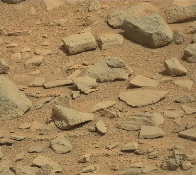 Sol 315: Mast Camera (Mastcam)