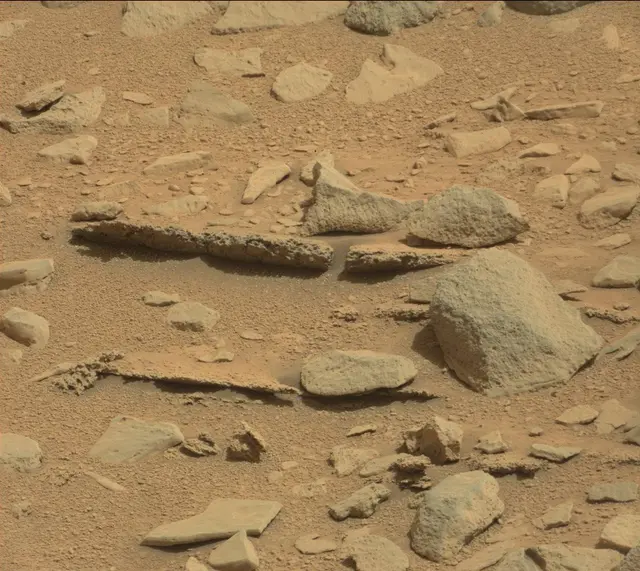 Sol 315: Mast Camera (Mastcam)