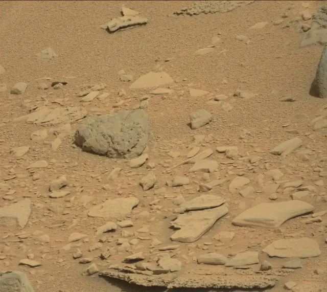 Sol 315: Mast Camera (Mastcam)