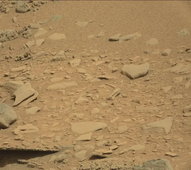 Sol 315: Mast Camera (Mastcam)