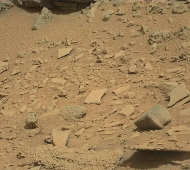 Sol 315: Mast Camera (Mastcam)