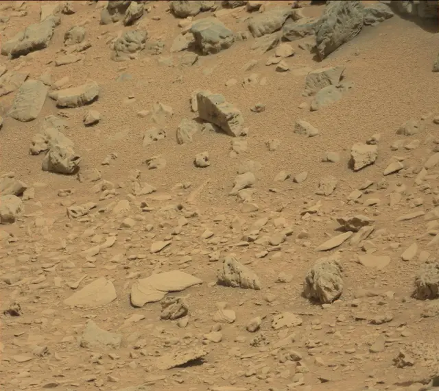 Sol 315: Mast Camera (Mastcam)