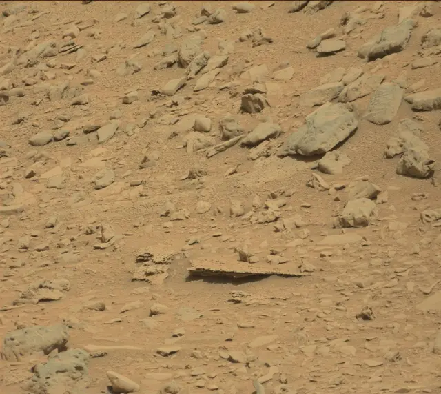Sol 315: Mast Camera (Mastcam)