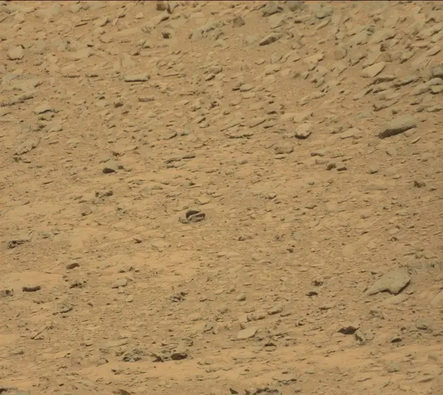 Sol 315: Mast Camera (Mastcam)