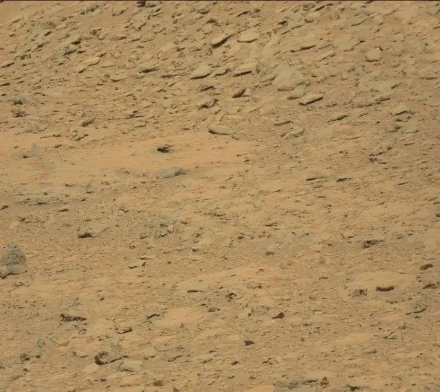 Sol 315: Mast Camera (Mastcam)