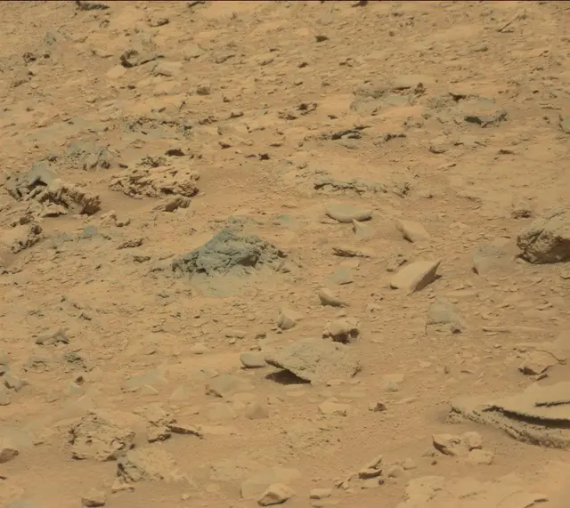 Sol 315: Mast Camera (Mastcam)