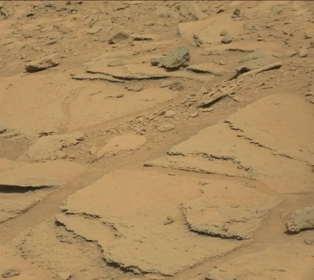 Sol 315: Mast Camera (Mastcam)