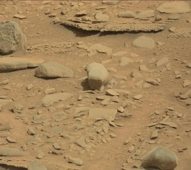Sol 315: Mast Camera (Mastcam)