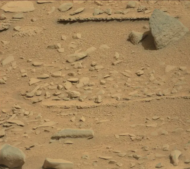 Sol 315: Mast Camera (Mastcam)