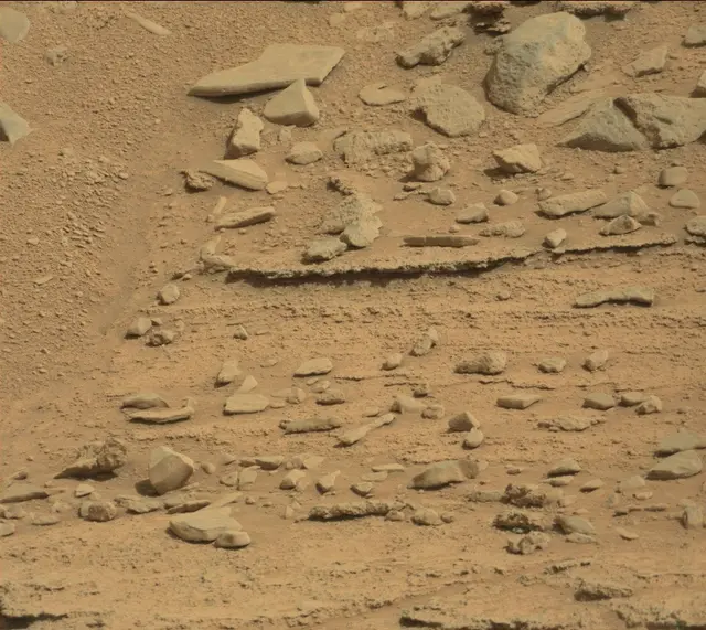 Sol 315: Mast Camera (Mastcam)