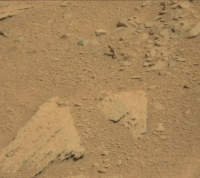 Sol 315: Mast Camera (Mastcam)