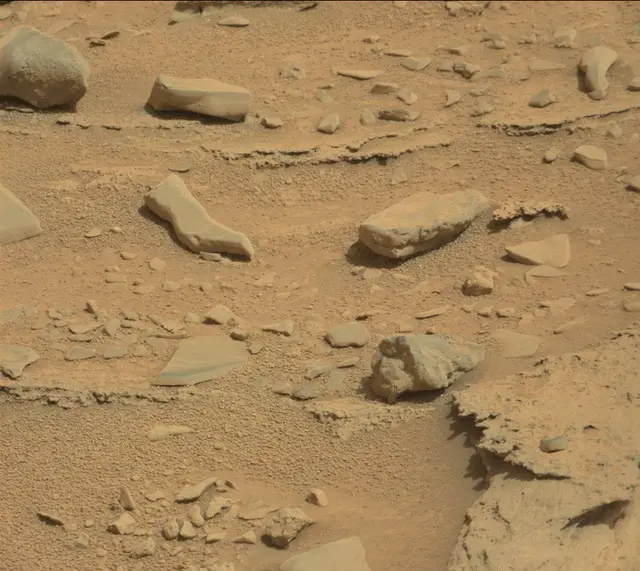 Sol 315: Mast Camera (Mastcam)
