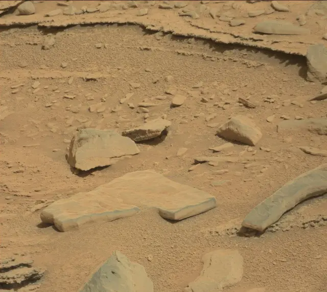 Sol 315: Mast Camera (Mastcam)