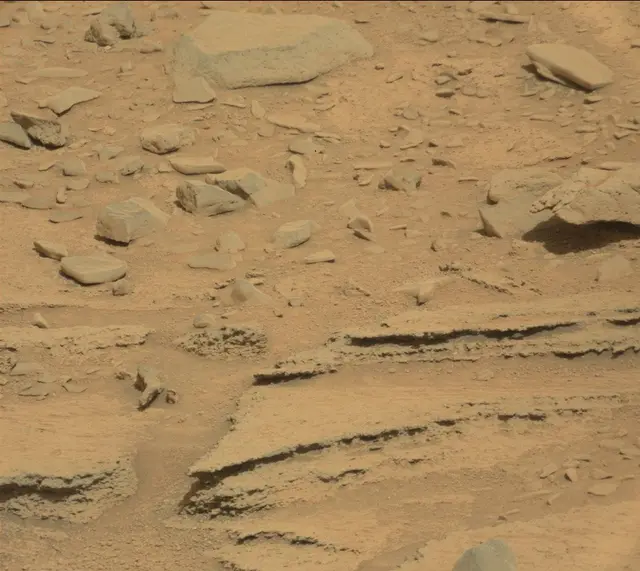 Sol 315: Mast Camera (Mastcam)