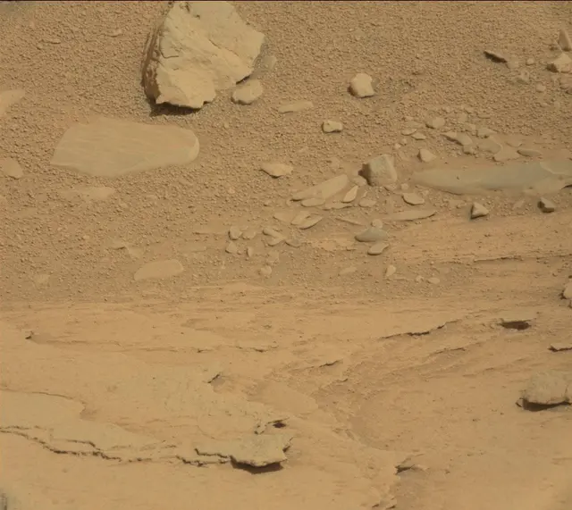 Sol 315: Mast Camera (Mastcam)