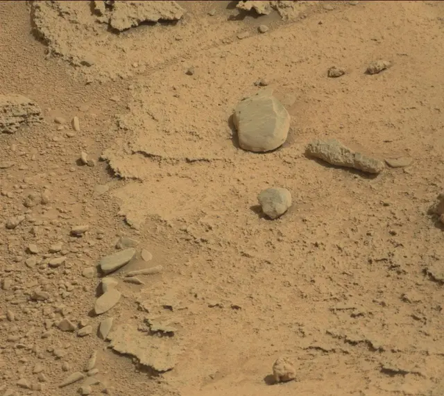 Sol 315: Mast Camera (Mastcam)