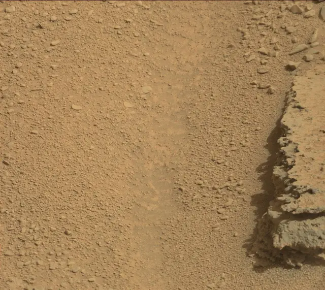 Sol 315: Mast Camera (Mastcam)