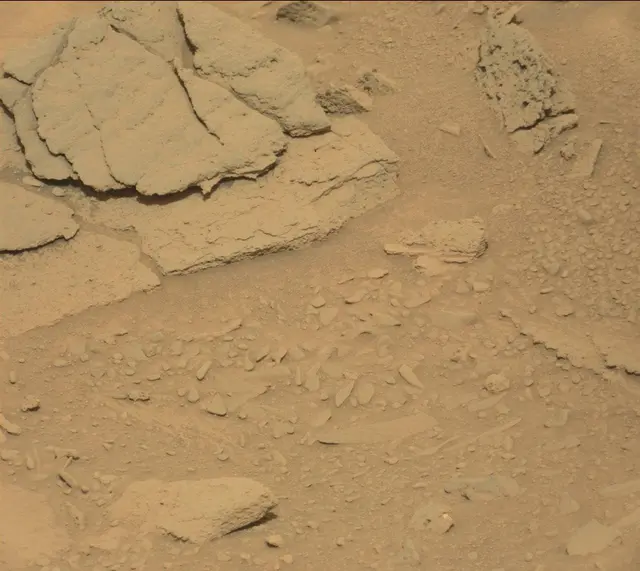 Sol 315: Mast Camera (Mastcam)