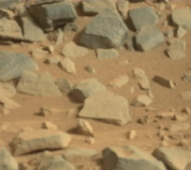 Sol 315: Mast Camera (Mastcam)