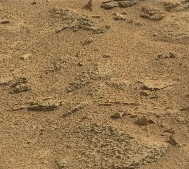 Sol 315: Mast Camera (Mastcam)