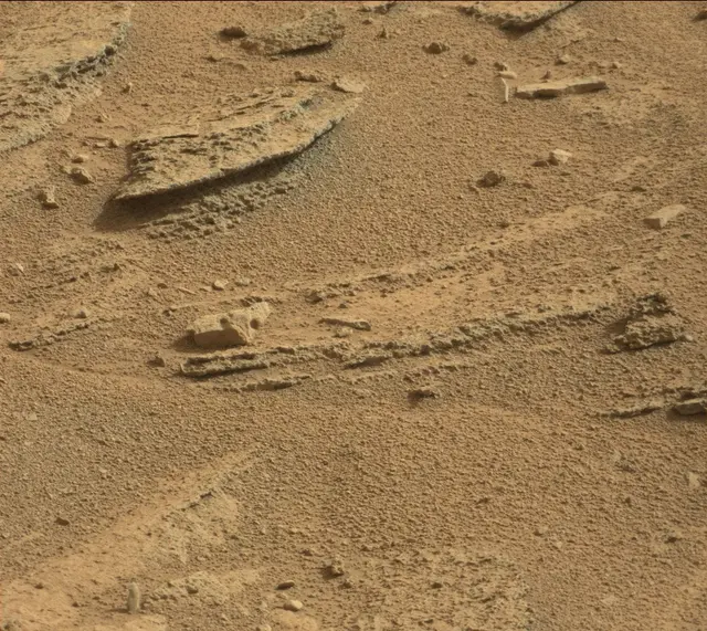 Sol 315: Mast Camera (Mastcam)