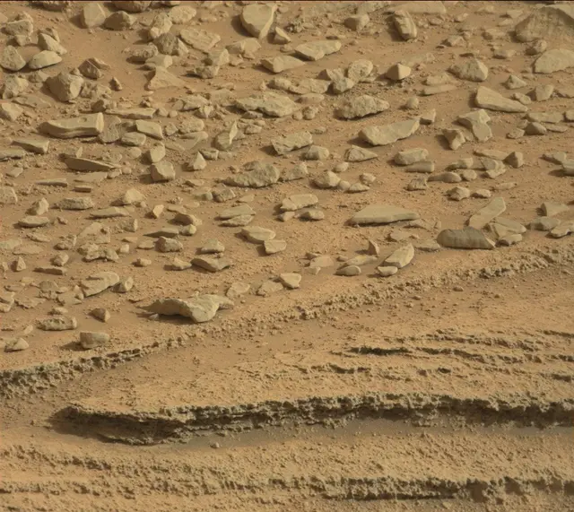 Sol 315: Mast Camera (Mastcam)
