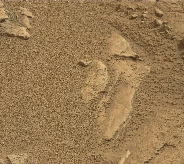 Sol 315: Mast Camera (Mastcam)
