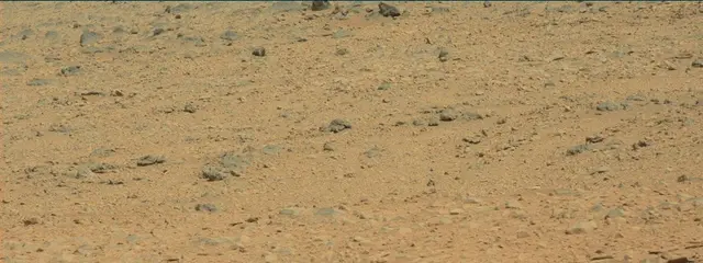 Sol 316: Mast Camera (Mastcam)