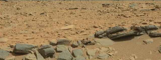 Sol 316: Mast Camera (Mastcam)