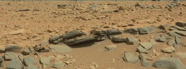 Sol 316: Mast Camera (Mastcam)